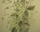 House Plant (mixed media - 70x45cm)